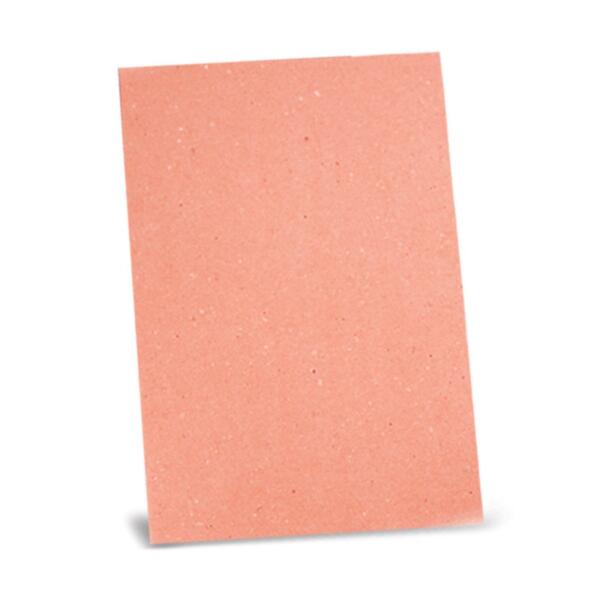 Cardboard File – pink